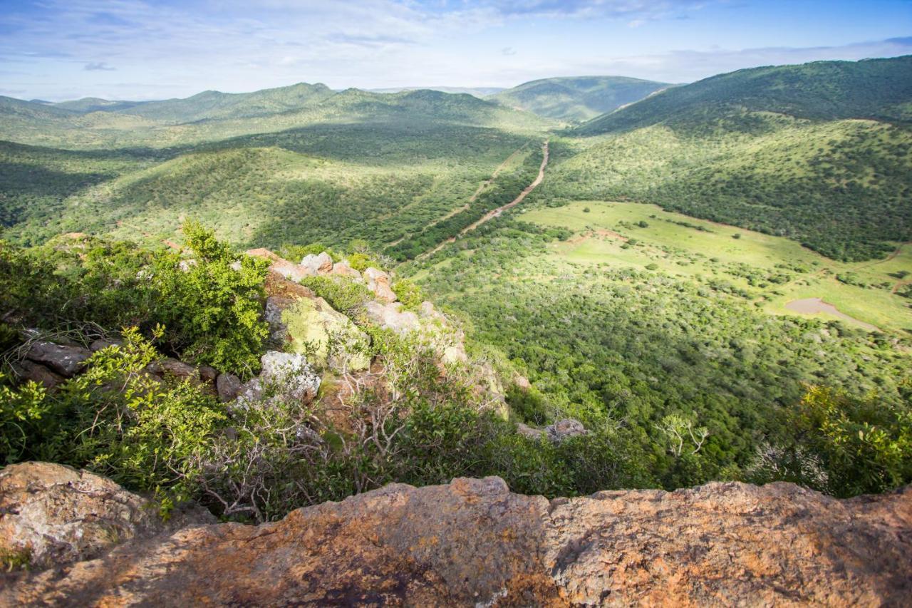 فيلا ليوبارد ماونتن سافاري لودج Manyoni Private Game Reserve المظهر الخارجي الصورة