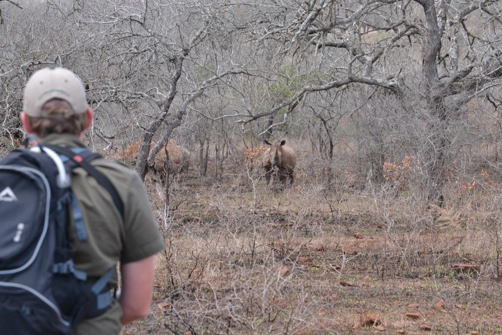 فيلا ليوبارد ماونتن سافاري لودج Manyoni Private Game Reserve المظهر الخارجي الصورة